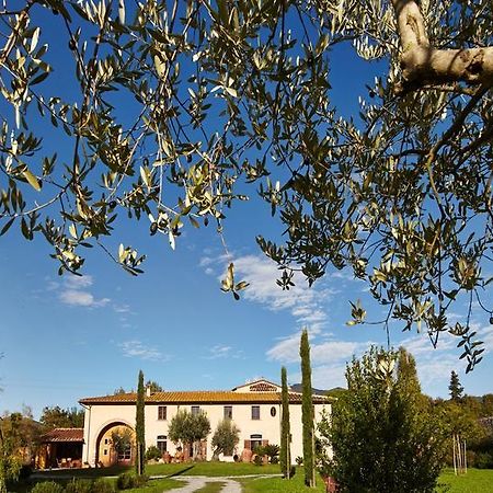 B&B Ai Condotti Di Pisa Da Filippo San Giuliano Terme Exterior foto